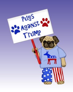 pug-2699747_960_720.jpg